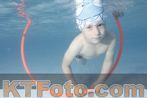 Photo 4229400