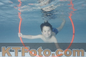Photo 4229401