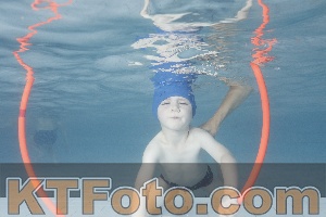 Photo 4229403