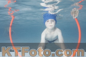 Photo 4229405