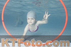 Photo 4229407