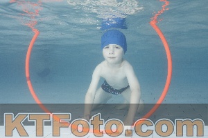 Photo 4229409