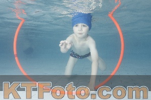 Photo 4229410