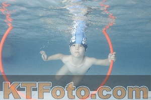 Photo 4229412
