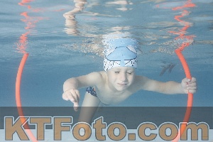 Photo 4229419