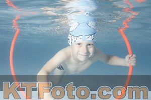 Photo 4229420