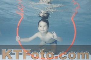 Photo 4229421