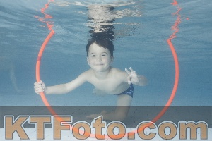 Photo 4229422