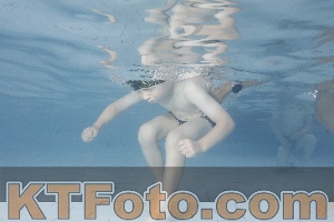 Photo 4229446