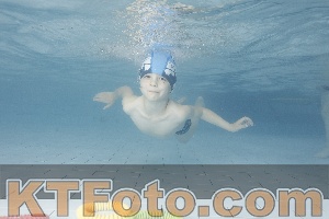 Photo 4229447