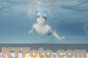 Photo 4229448