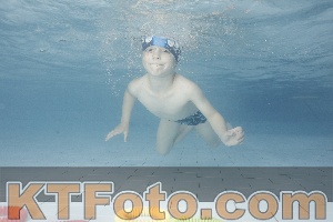 Photo 4229449