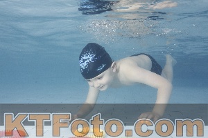 Photo 4229453