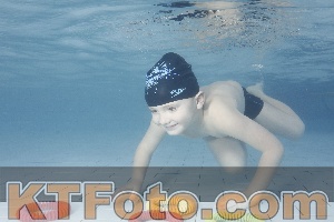 Photo 4229454