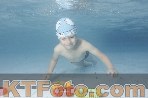 Photo 4229460