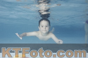 Photo 4229461