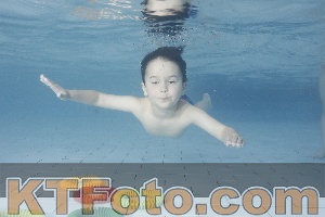 Photo 4229462