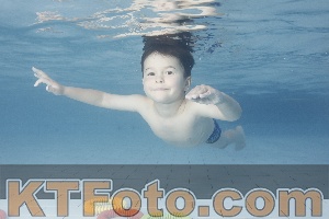 Photo 4229464