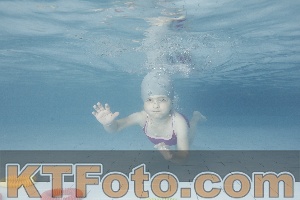 Photo 4229465