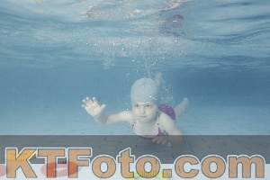 Photo 4229466