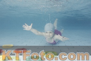 Photo 4229467