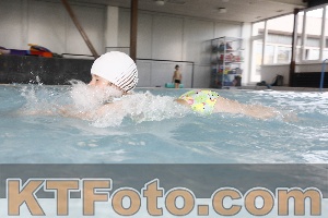 Photo 4229473