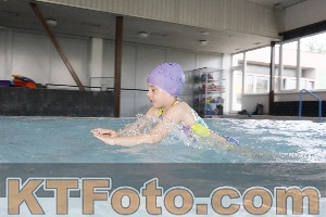 Photo 4229475
