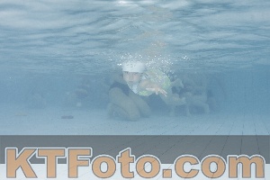 Photo 4229488