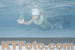 Photo 4229489