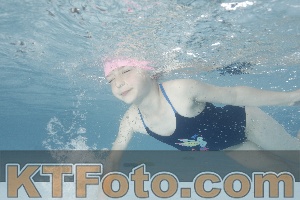 Photo 4229495