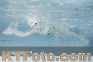 Photo 4229496