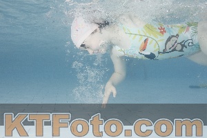 Photo 4229499