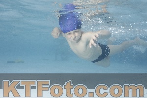 Photo 4229505