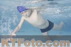Photo 4229506