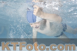 Photo 4229509