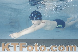 Photo 4229511