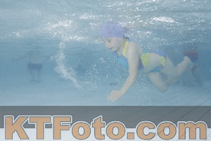 Photo 4229513