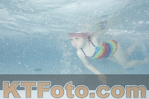 Photo 4229516