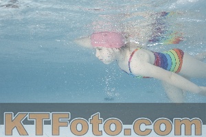 Photo 4229517