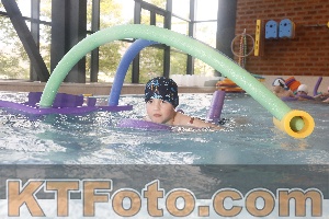 Photo 4229533