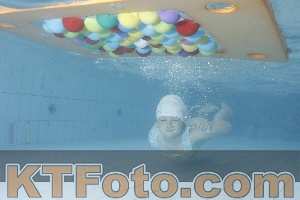 Photo 4229563