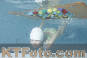 Photo 4229565