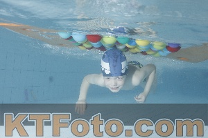 Photo 4229569