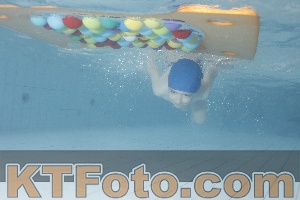 Photo 4229572