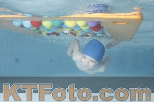 Photo 4229573