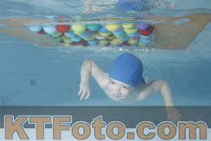 Photo 4229574