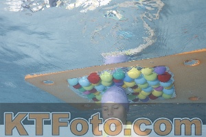 Photo 4229575