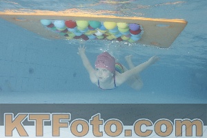 Photo 4229577