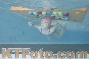 Photo 4229578