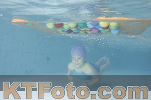 Photo 4229580